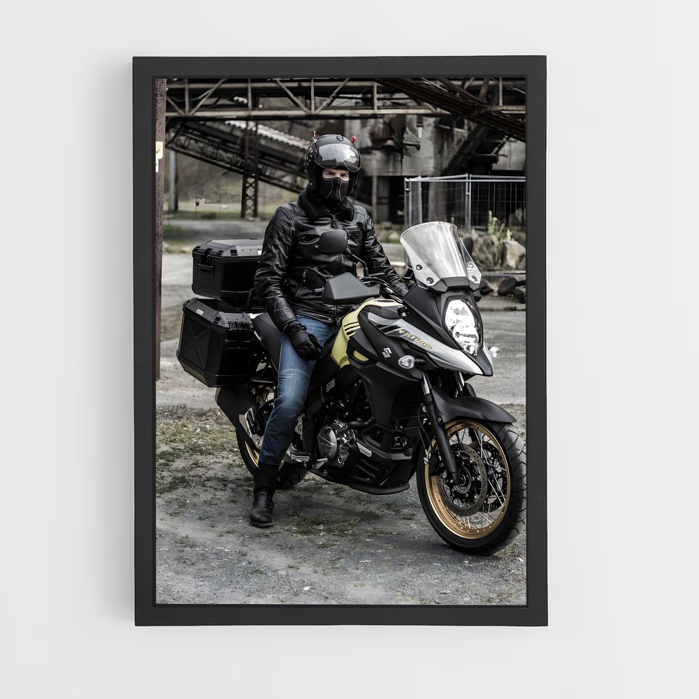 Poster magnifique V-strom (vue 2)